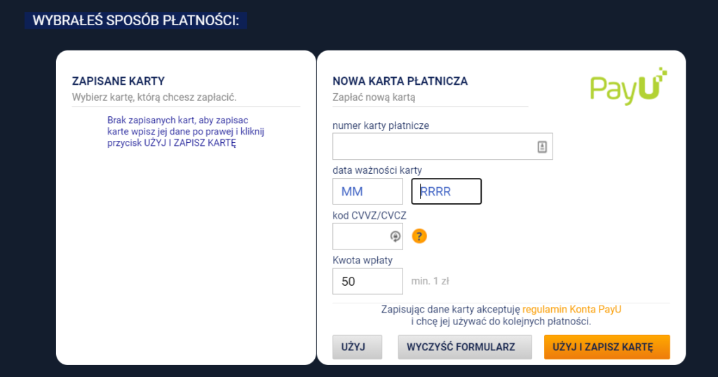 płatność visa